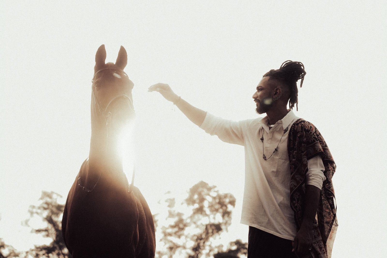Theebaan G reaching toward a horse in backlit sunlight